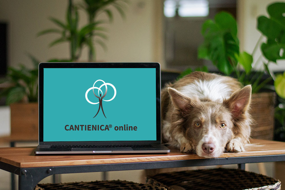 Cantienica-Online-Kurs